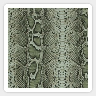 Exotic Snake Print Sticker